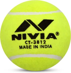 Heavy Tennis Ball Cricket Ball (Pack of 12)